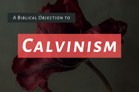 Calvinism